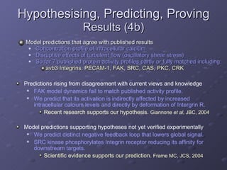 Hypothesising, Predicting, Proving  Results (4b) Model predictions that agree with published results Concentration profile of intracellular calcium Disruptive effects of turbulent flow (oscillatory shear stress) So far 7 published protein activity profiles partly or fully matched including:  avb3 Integrins, PECAM-1, FAK, SRC, CAS, PKC, CRK  Predictions rising from disagreement with current views and knowledge FAK model dynamics fail to match published activity profile.  We predict that its activation is indirectly affected by increased intracellular calcium levels and directly by deformation of Intergrin R. Recent research supports our hypothesis.  Giannone  et al , JBC, 2004 Model predictions supporting hypotheses not yet verified experimentally We predict distinct negative feedback loop that lowers global signal.  SRC kinase phosphorylates Integrin receptor reducing its affinity for downstream targets. Scientific evidence supports our prediction.  Frame MC, JCS, 2004 