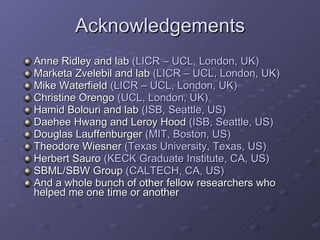 Acknowledgements Anne Ridley and lab  (LICR – UCL, London, UK) Marketa Zvelebil and lab  (LICR – UCL, London, UK) Mike Waterfield   (LICR – UCL, London, UK) Christine Orengo  (UCL, London, UK) Hamid Bolouri and lab  (ISB, Seattle, US) Daehee Hwang and Leroy Hood  (ISB, Seattle, US) Douglas Lauffenburger  (MIT, Boston, US) Theodore Wiesner  (Texas University, Texas, US) Herbert Sauro  (KECK Graduate Institute, CA, US) SBML/SBW Group  (CALTECH, CA, US) And a whole bunch of other fellow researchers who helped me one time or another 