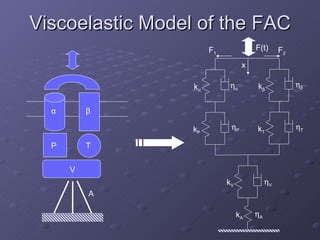 Viscoelastic Model of the FAC β α P T V A k    k    k T  T k P  P k V  V k A  A x F(t) F 1 F 2 
