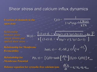 Shear stress and calcium influx dynamics Relationship between strain energy density and applied shear stress   Fraction of channels in the open state   Relationship for Membrane Potential   Relationship for Membrane Permeability   Balance equation for cytosolic-free calcium ions   kTN - f e W( τ ) 1+ α *exp f o ( τ ) = 1 W( τ ) = (1- ε )  τ L + 16 μ 2 +  τ 2  L 2  ( ε 2 -2 ε +1)  -  4 μ ] 2 16 μ 2 +  τ 2  L 2  ( ε 2 -2 ε +1) [ ] (1- ε )  τ L + [ 8  q s +q in -q b -q out dCa c dt f 0 (0)+tanh [f 0 ( τ )- f 0 (0)] P max P(t,  τ ) =  { } π  t t f [ ] Δφ (t,  τ ) =  -E r - Δ E m (  τ ) 1-e  -t/t φ 