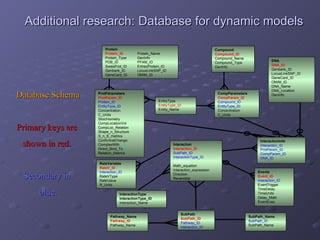 Additional research: Database for dynamic models Database Schema Primary keys are  shown in red.   Secondary in  blue. DNA DNA_ID Genbank_ID LocusLinkSNP_ID GeneCard_ID OMIM_ID DNA_Name DNA_Location GenInfo Compound Compound_ID Compound_Name Compound_Type GenInfo ProtParameters ProtParam_ID Protein_ID EntityType_ID Concentration C_Units Stoichiometry CompLocationVol CompLoc_Relation Shape_n_Structure S_n_S_metrics ConformatChange ComplexWith Direct_Bind_To Relation_Metrics CompParameters CompParam_ID Compound_ID EntityType_ID Concentration C_Units InteractionInfo Interaction_ID ProtParam_ID CompParam_ID DNA_ID EntityType EntityType_ID Entity_Name Protein Protein_ID Protein_Name Protein_Type GenInfo PDB_ID PFAM_ID SwissProt_ID EntrezProtein_ID Genbank_ID LocusLinkSNP_ID GeneCard_ID OMIM_ID InteractionType InteractionType_ID Interaction_Name Interaction Interaction_ID SubPath_ID InteractionType_ID KineticLaw  Math_equation Interaction_expression Direction Reversible SubPath SubPath_ID Pathway_ID Interaction_ID Pathway_Name Pathway_ID Pathway_Name SubPath_Name SubPath_ID SubPath_Name RateVariable RateV_ID Interaction_ID RateVType RateValue R_Units Events Event_ID Interaction_ID EventTrigger TimeDelay TimeUnits Delay_Math EventExec 