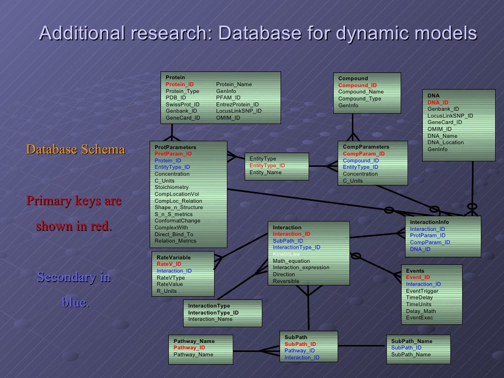 Phd Dissertation Assistance Jonkman Ph D - Reliable Paper Writing Service