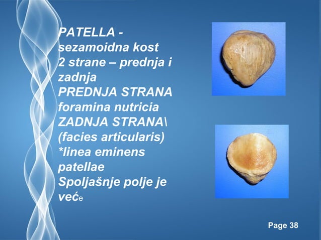 Kosti donjih ekstremiteta | PPT