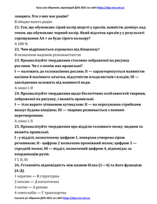 База усіх збірників, відповідей ДПА 2021 на сайті https://dpa-zno.net.ua
Скачати усі збірники ДПА 2021 на сайті https://dpa-zno.net.ua
ланцюга. Хто з них має рацію?
В обидва мають рацію
21. Ген, що обумовлює сірий колір шерсті у кролів, повністю домінує над
геном, що обумовлює чорний колір. Який відсоток кролів у у результаті
схрещування АА × аа буде сірого кольору?
А 100 %
22. Чим відрізняється агроценоз від біоценозу?
В незначною видовою різноманітністю
23. Проаналізуйте твердження стосовно зображеної на рисунку
рослини. Чи є з-поміж них правильні?
І — належить до голонасінних рослин; II — характеризується наявністю
насіння й насінного зачатка, відсутністю плодолистків і плодів; III —
запліднення залежить від наявності води.
А лише І, II
24. Проаналізуйте твердження щодо біологічних особливостей тварини,
зображеної на рисунку, і вкажіть правильні.
І — тіло вкрите хітиновою кутикулою; II — на пересування стрибками
вказує будова кінцівок; III — тварина розвивається з повним
перетворенням.
А лише І, II
25. Проаналізуйте твердження про відділи головного мозку людини та
вкажіть правильні.
I - у відділі, позначеному цифрою 1, поверхня утворена сірою
речовиною; II - цифрою 2 позначено проміжний мозок; цифрою 3 —
середній мозок; III — відділ, позначений цифрою 4, відповідає за
координацію рухів.
Г І, II, III
26. Установіть відповідність між назвою білка (1—4) та його функцією
(А-Д).
1 кератин — В структурна
2 пепсин — Д каталітична
3 актин — А рухова
4 гемоглобін — Г транспортна
 