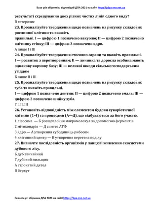 База усіх збірників, відповідей ДПА 2021 на сайті https://dpa-zno.net.ua
Скачати усі збірники ДПА 2021 на сайті https://dpa-zno.net.ua
результаті схрещування двох різних чистих ліній одного виду?
В гетерозис
23. Проаналізуйте твердження щодо позначень на рисунку складових
рослинної клітини та вкажіть
правильні. І — цифрою 1 позначено вакуолю; II — цифрою 2 позначено
клітинну стінку; III — цифрою 3 позначено ядро.
А лише І і III
24. Проаналізуйте твердження стосовно сарани та вкажіть правильні.
І — розвиток з перетворенням; II — личинка та доросла особина мають
однакову кормову базу; III — великої шкоди сільськогосподарським
угіддям
Б лише II і III
25. Проаналізуйте твердження щодо позначень на рисунку складових
зуба та вкажіть правильні.
І — цифрою 1 позначено дентин; II — цифрою 2 позначено емаль; III —
цифрою 3 позначено шийку зуба.
Г І, II, III
26. Установіть відповідність між елементом будови еукаріотичної
клітини (1-4) та процесами (А—Д), що відбуваються за його участю.
1 лізосома — Б розщеплення макромолекул за допомогою ферментів
2 мітохондрія — Д синтез АТФ
3 ядро — А утворення субодиниць рибосом
4 клітинний центр — В утворення веретена поділу
27. Визначте послідовність організмів у ланцюзі живлення екосистеми
дубового лісу.
Б дуб звичайний
Г дубовий пильщик
А строкатий дятел
В беркут
 