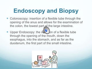 Endoscopy and Biopsy
 Colonoscopy: insertion of a flexible tube through the
opening of the anus and allows for the examination of
the colon, the lowest part of the large intestine.
 Upper Endoscopy: the insertion of a flexible tube
through the opening of the mouth, down the
esophagus, into the stomach, and as far as the
duodenum, the first part of the small intestine.
 
