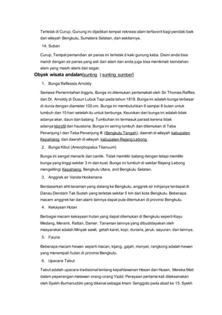 Terletak di Curup, Gunung ini dijadikan tempat rekreasi alam terfavorit bagi pendaki baik
dari wilayah Bengkulu, Sumatera Selatan, dan sekitarnya.
14. Suban
Curup, Tempat pemandian air panas ini terletak d kaki gunung kaba. Disini anda bisa
mandi dengan air panas yang asli dari alam dan anda juga bisa menikmati keindahan
alam yang masih alami dan segar.
Obyek wisata andalan[sunting | sunting sumber]
1. Bunga Raflessia Arnoldy
Semasa Pemerintahan Inggris, Bunga ini ditemukan pertamakali oleh Sir Thomas Raffles
dan Dr. Arnoldy di Dusun Lubuk Tapi pada tahun 1818. Bunga ini adalah bunga terbesar
di dunia dengan diameter 100 cm. Bunga ini membutuhkan 6 sampai 8 bulan untuk
tumbuh dan 15 hari setelah itu untuk berbunga. Keunikan dari bunga ini adalah tidak
adanya akar, daun dan batang. Tumbuhan ini termasuk parasit kerena tidak
adanya klorofil dan haustoria. Bunga ini sering tumbuh dan ditemukan di Taba
Penanjung I dan Taba Penanjung III (Bengkulu Tengah), daerah di wilayah kabupaten
Kepahiang, dan daerah di wilayah kabupaten Rejang Lebong.
2. Bunga Kibut (Amorphopalus Titanuum)
Bunga ini sangat menarik dan cantik. Tidak memiliki batang dengan tetapi memiliki
bunga yang tinggi sekitar 3 m dan kuat. Bunga ini tumbuh di sekitar Rejang Lebong
mengelilingi Kepahiang, Bengkulu Utara, and Bengkulu Selatan.
3. Anggrek air Vanda Hookeriana
Berdasarkan ahli tanaman yang datang ke Bengkulu, anggrek air inihjanya terdapat di
Danau Dendam Tak Sudah yang terletak sekitar 5 km dari kota Bengkulu. Beberapa
macam anggrek liar dan alami lainnya dapat pula ditemukan di provinsi Bengkulu.
4. Kekayaan Hutan
Berbagai macam kekayaan hutan yang dapat ditemukan di Bengkulu seperti Kayu
Medang, Meranti, Rattan, Damar. Tanaman lainnya yang dibudidayakan oleh
masyarakat adalah Minyak sawit, getah karet, kopi, durians, jeruk, sayuran, dan lainnya.
5. Fauna
Beberapa macam hewan seperti macan, kijang, gajah, monyet, rangkong adalah hewan
yang menempati hutan di provinsi Bengkulu.
6. Upacara Tabut
Tabut adalah upacara tradisional tentang kepahlawanan Hasan dan Husen, Mereka Mati
dalam peperangan melawan orang-orang Yazid. Perayaan pertama kali dilaksanakan
oleh Syekh Burhanuddin yang dikenal sebagai Imam Senggolo pada abad ke 15. Syekh
 
