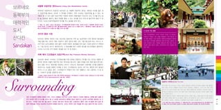 Sb
o
o
보르네오

세필록 오랑우탄 센터Sepilok Orang Utan Rehabilitation Centre

동북부의

끼 오랑우탄을 돌보는 곳으로 그 역사를 시작했다. 자연 서식하는 오랑우탄을 볼 수 있는, 세

매력적인

(10:00, 14:00) 오랑우탄들에게 먹이를 주는 광경을 보게 된다.

도시,

세계적인 오랑우탄의 자생지인 보르네오 섬. 세필록 오랑우탄 센터는 1964년 어미를 잃은 새
계에서 몇 곳 되지 않은 보호구역인 덕분에 세계의 여행자들이 이곳까지 오는 수고를 마다 않
아 늘 사람들로 붐빈다. 열대 우림을 향해 나 있는 데크를 따라 10여 분 들어가면 매일 두 번

Batu 14, Jalan Labuk Sandakan
리셉션&티켓 09:00~11:00, 14:00~15:30 / 보호센터 09:00~12:00,
14:00~16:00
6089-531-180
30링깃(카메라, 캠코더 소지 시 10링깃 추가)
핸드폰이나 귀금속 노출 금지, 사
육사 외 먹이를 주거나 시선을 끄는 행동, 만지기 등 금물.

⊙ 산다칸 가는 방법

산다칸 중앙 시장

산다칸

보르네오 동북부 최대의 시장. 보르네오 앞바다와 주변 숲, 농경지에서 걷은 풍부한 해산물과
작물 등을 파는 대규모 재래 시장이다. 말린 생선과 매운 고추, 각종 향신료와 채소, 바나나, 두

Sandakan

리안 등과 남지나해에서 잡아 올린 다양한 어종의 생선들을 부려 놓는 시장의 분위기가 독특하
다. 시장 앞으로 바다가 펼쳐지는데, 그 방파제를 따라 다양한 해산물 레스토랑들이 즐비하다.

코타 키나발루에서 산다칸 까지의 거리는 약 300km.
비행기나 자동차, 버스 등을 이용해서 가게 되는데, 가
장 편한 방법은 단연 항공편. 말레이시아항공과 에어아
시아 등이 국내선을 운항하며 40여 분 정도 걸린다. 요
금은 225링깃 정도. 차량을 이용하게 되면 최소 6시간
이상은 걸려 쉽지가 않다. 산다칸까지 버스 요금은 43
링깃 정도.

우리네 수산시장 근처 회센타 풍경을 보는 듯 해 정겹다.

라북 베이 긴코원숭이 보호구역Labuk Bay Proboscis Monkey Sanctuary
보르네오 섬에서 서식하는 긴코원숭이를 야생 상태로 관찰하고 먹이를 주는 곳으로 세필록 오
랑우탄 센터와 더불어 대표적인 에코 투어리즘 명소이다. 열대 우림을 따라 한참 들어가면 맹그
로브 숲을 지나고 원숭이를 관찰하는 데크가 나오는데, 원숭이들이 관람객들 사이를 종횡무진
뛰어다니는 모습을 생생히 지켜볼 수 있다. 긴코원숭이는 덩치도 꽤 커서, 웬만한 아이 몸집만
하거나 더 큰 것들도 많다. 긴코원숭이가 어떻게 무리 지어 생활하고 서로 소통하는 지 등 있
는 그대로의 습성을 경험하게 된다.
Jalan Lintas Labuk,P.O Box 819, 90709 Sandakan
6089-672-133 / www.proboscis.cc
요금 : 60링깃

Platform A 09:30~14:30, Platform B 11:30~16:30

코타 키나발루의 독특한 문화와 자연, 그리고 사람들과 어우러진 시간은 며칠이고 이곳에 머물러도 지루할 틈이 없을 이
유가 되지만 만약 이 도시를 벗어나 좀 더 사바와 보르네오의 매력에 깊숙이 들어가고 싶다면 사바주를 대표하는 또 다
른 도시.‘산타칸’
으로 떠나 볼 일이다. 우리로 치면 마치 부산과 같은 느낌이라고 할까? 코타 키나발루 못지 않은 문
화적 자부심을 가지고 있으면서 이곳만의 독특한 멋과 맛, 그리고 자연이 있어 먼길을 마다 않고 달려가게 하는 곳이다.

미국 여류 작가 아그네스 키쓰는 제2차 세계대전 전후에 산다칸에 머물며 작품 활동을
했던 이로, 산다칸 사람들이 유난히 아끼고 존경하는 인물이다. 그녀가 2차 대전 전에
살다가 다시 와서 언덕에 새로 지은 집은 현재 박물관으로 공개되어 산다칸의 대표 여
행 명소가 되었는데, 여기서 머지 않은 곳에 자리한 콜로니얼 풍의 우아한 건물이 잉글
리시 티하우스이다.
산다칸 앞바다와 타운이 시원하게 펼쳐 보이는 전망도 좋고, 고풍스러운 옛 건물 곳곳이
모두 오랜 사연을 담은 듯 해 정겹다. 영화 속 한 장면인 듯 잠시 식민지 시대의 분위기
를 느껴보는 가운데, 서빙하는 스태프들의 하녀 복장도 눈길을 끈다.
No. 2002 Jalan Istana, Sandakan
6089-222-544 / www.englishteahouse.org
잉글리시 티세
트 18링깃, 커피 5.50~6.50링깃, 보르네오 티 4.50링깃, 클럽 샌드위치 26.50링깃, 튜나 샌드위치 19.50링깃

Surrounding

Surrounding

잉글리시 티하우스English Tea House

44
+
45

 