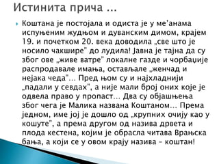  Коштана је постојала и одиста је у ме’анама
испуњеним жудњом и дуванским димом, крајем
19. и почетком 20. века доводила „све што је
носило чакшире” до лудила! Јавна је тајна да су
због ове „живе ватре” локалне газде и чорбаџије
распродавале имања, остављале „женчад и
нејака чеда”… Пред њом су и најхладнији
„падали у севдах”, а није мали број оних које је
одвела право у пропаст… Два су објашњења
због чега је Малика названа Коштаном… Према
једном, име јој је дошло од „крупних очију као у
кошуте”, а према другом од назива дрвета и
плода кестена, којим је обрасла читава Врањска
бања, а који се у овом крају назива – коштан!
 