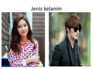 Jenis kelamin
 
