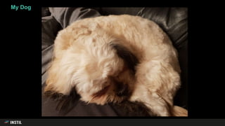 My Dog
 