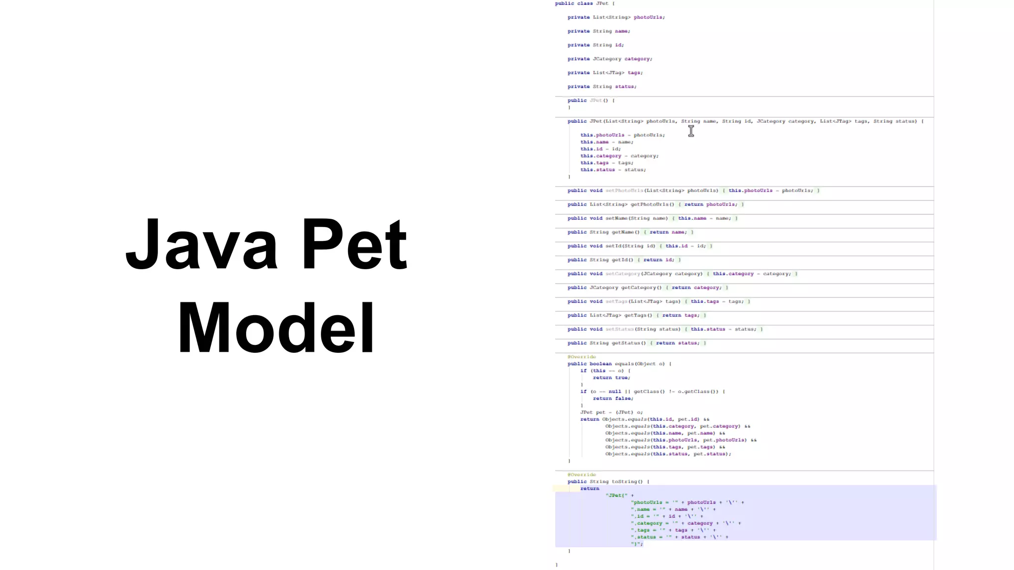 Java Pet Model 