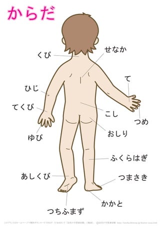 からだからだからだからだからだ
くび
せなか
ふくらはぎ
つまさきあしくび
かかと
ゆび
つちふまず
て
こし
おしり
つめ
てくび
ひじ
このプリントはホームページで無料ダウンロードできます （YAHOO で 「幼児の学習素材館」 と検索）。 　c 幼児の学習素材館　http://kotoba.littlestar.jp/kisetsu-sozai.html
 