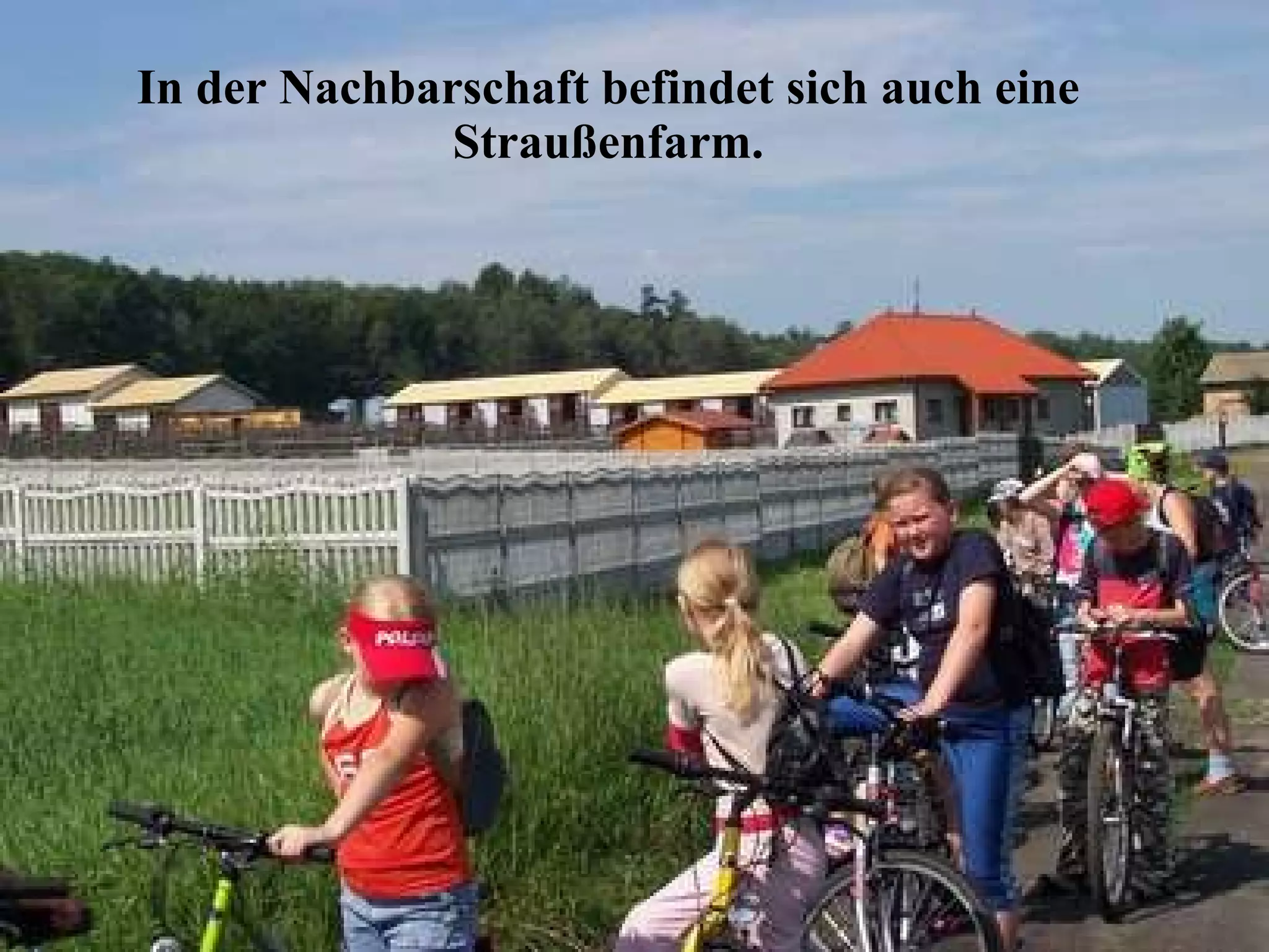 In der Nachbarschaft befindet sich auch eine Straußenfarm. 