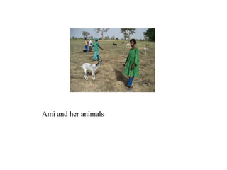 Ami and her animals 