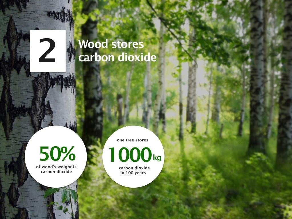 Mahdollisuuksien metsä englanniksi