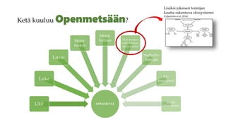 Ketä kuuluu ?
OPENMETSÄUEF
Luke
Lusto
Metsä-
keskus
Metsä-
hallitus SLN seudun
varhaiskasva-
tus ja koulut
matkailu-
toimijat
KV-
kumppanit
Kaikki
kiinnostuneet
Lisäksi jokaisen toimijan
kautta rakentuva ekosysteemi
(Liljeström et al. 2014)
 