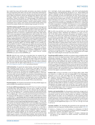 DOI: 10.1038/ncb3227 METHODS
then washed three times with lysis buﬀer and proteins were eluted as described
above and separated by SDS–PAGE. Gels were silver-stained (Pierce SilverSnap kit),
according to the manufacturer’s protocol. Gel slices were selected and excised using
sterile scalpels and destained, reduced and alkylated before digestion with trypsin
(Promega). Samples were analysed using nanoHPLC-electrospray tandem mass
spectrometry (nanoLC-ESI-MS/MS) in a ThermoFinnigan LTQ Orbitrap hybrid
mass spectrometer (ThermoElectron Bremen). Mascot (Matrix Sciences London)
was used to search the Swissprot database to identify isolated peptides. Common
contaminants such as trypsin, casein, keratin and microbial-specific proteins were
removed from analysis. Results were visualized using Cytoscape 2.8.2 (ref. 58).
Total RNA isolation and qRT–PCR. Cells were lysed using Trizol (Invitrogen) and
subjected to the Trizol Plus total transcriptome isolation protocol of the PureLink
RNA mini kit (Ambion—Life Technologies) specified to isolate both mRNAs and
miRNAs. Final RNA concentrations were determined using a NanoDrop spec-
trophotometer. RNA was converted to complementary DNA using a high capacity
cDNA reverse transcriptase kit (Applied Biosystems). qPCR reactions were carried
out using the TaqMan FAST Universal PCR master mix (Applied Biosystems), in a
7900 HT or ViiA 7 thermocycler (Applied Biosystems). Data were analysed using RQ
Manager (Applied Biosystems). U6 was used as a control for miRNA expression nor-
malization and GAPDH, β-actin for mRNA and pri/pre-miRNA normalization. Taq-
Man assays used for miRNAs (Applied Biosystems, catalogue no. 4427975): hsa-miR-
24, 000402; hsa-miR-30a, 000417; hsa-miR-30b, 000602; hsa-let-7g, 002282; hsa-
miR-19a, 000395; U6, 001973. TaqMan assays for miRNA precursors: pri-miR-30b,
Applied Biosystems, catalogue no. 4427012, Hs03303066_pri; pre-miR-30b, Custom
Plus TaqMan RNA assay catalogue no. 4441114, assay ID AJN1E56, context se-
quence 5 -CTGTAATACATGGATTGGCTGGGAG-3 . TaqMan assays for mRNAs
(Applied Biosystems, catalogue no. 4331182): PLEKHA7, Hs00697762_m1; SNAI1,
Hs00195591_m1; MYC, Hs00153408_m1; CCND1, Hs00277039_m1; GAPDH,
Hs99999905_m1; actin (ACTB), Hs99999903_m1.
RNA-IPs. RNA-IPs were carried out as described above for standard IPs, but
with the addition of 100 U ml−1
RNAse inhibitor (Promega) in the lysis buﬀer.
After the final wash, RNA was eluted from the beads using Trizol (Invitrogen)
and purified as described above. qRT–PCRs were then carried out as above and
the results were analysed using the Sigma RIP-qRT–PCR data analysis calculation
shell, associated with the Sigma Imprint RIP kit (http://www.sigmaaldrich.com/
life-science/epigenetics/imprint-rna.html and references therein).
Cell fractionation. To separate the nuclear fraction, cells were first lysed using a
buﬀer containing 25 mM Tris pH 7.4, 150 mM NaCl, 5 mM MgCl2, 0.5% NP-40,
protease (Cocktail III, RPI), phosphatase (Pierce) and RNAse (100 U ml−1
; Promega)
inhibitors for 10 min on ice. The lysates were centrifuged at 300g for 5 min at 4 ◦
C
to pellet the nuclei and the supernatant was carefully transferred to a fresh tube.
The nuclear pellet was lysed using RIPA (see recipe above, immunoblotting section)
with protease, phosphatase and RNAse inhibitors for 10 min on ice, homogenized
through a 29 g needle and cleared by centrifugation for 5 min at 12,000g. Half of
each lysate was used for SDS–PAGE, whereas the other half was mixed with Trizol
and used to extract total RNA and cary out qRT–PCRs, as described above.
Proximity ligation. The Duolink In Situ Red Starter Kit Mouse/Rabbit (Sigma) was
used according to the manufacturer’s instructions.
In vitro pri-miRNA processing assay. Total cDNA from Caco2 cells was obtained
as described above (qRT–PCR section) and was used to amplify the pri-miR-
30b transcript. The pri-miR-30b cDNA was then subcloned into the pBluescript
SK+ vector, downstream of the T7 promoter, between the EcoRI and XhoI sites.
Primers used: pri-30bF-XhoI, 5 -ATTAACTCGAGGTGAATGCTGTGCCTGTT
C-3 ; pri-30bR-EcoRI, 5 -ACGTTGAATTCGCCTCTGTATACTATTCTTGC-3 .
The cloned pri-miR-30b sequence is as follows (the pre-mRNA sequence is shown
in capital letters): 5 -gtgaatgctgtgcctgttctttttttcaacagagtcttacgtaaagaaccgtacaaactta
gtaaagagtttaagtcctgctttaaACCAAGTTTCAGTTCATGTAAACATCCTACACTC
AGCTGTAATACATGGATTGGCTGGGAGGTGGATGTTTACTTCAGCTGAC
TTGGAatgtcaaccaattaacattgataaaagatttggcaagaatagtatacagaggc-3 . The pri-miR-
30b construct was linearized using SmaI and in vitro transcription was carried out
using T7 polymerase (Roche) and fluorescein isothiocyanate (FITC) RNA labelling
mix (Roche), according to the manufacturer’s instructions. The FITC-labelled pri-
miR-30b was gel-purified and stored at −20 ◦
C in the dark for no more than a
week. For the in vitro processing assay, IPs on Caco2 lysates were carried out as
described above using IgG (negative control), a PLEKHA7 (Sigma) or a DGCR8
(Sigma) (positive control) antibody. For the PLEKHA7 knockdown experiment,
control (NT) or PLEKHA7 shRNA cells were used and IPs were carried out using
an IgG (negative control), or a DGCR8 (Sigma) antibody. After the final wash, the
beads were mixed with a reaction mixture containing 20 mM Tris at pH 8.0, 100 mM
KCl, 7 mM MgCl2, 20 mM creatine phosphate, 1 mM ATP, 0.2 mM phenylmethyl
sulphonyl fluoride, 5 mM dithiothreitol, 10% glycerol, 2 U µl−1
RNAse inhibitor and
3 µg FITC-labelled pri-miR-30b. The labelled probe was denatured for 2 min at 95 ◦
C
and left to gradually cool down and refold before the assay. The processing assay
was carried out for 90 min at 37 ◦
C in the dark with constant gentle rocking. RNA
was eluted with RNA elution buﬀer (2% SDS, 0.3 M NaOAc pH 5.2) purified with
phenol–chloroform–IAA (25:24:1) pH 5.5 (Fisher), and precipitated overnight at
−80◦
C using NaOAc 0.3 M pH 5.2, 1 µl glycogen (Invitrogen) and 4:1 100% EtOH.
The RNA was recovered by full-speed centrifugation for 30 min at 4 ◦
C, washed with
75% EtOH, resuspended in 7.5 µl DEPC–H2O, denatured in 1:1 Gel Loading Buﬀer
II (Life Technologies) for 5 min at 95 ◦
C, and loaded onto a 12% denaturing PAGE
RNA gel (SequaGel; National Diagnostics). The gel was scanned using a Typhoon
9400 (GE Healthcare) and quantification of bands was carried out using ImageJ.
ISH. For ISH of pri-miR-30b, Caco2 cells were grown on slides, fixed with 10%
formalin (Protocol; Fisher), dehydrated and rehydrated in a series of 50–70–
100–70–50% EtOH solutions, pretreated with protease and hybridized using the
RNAscope 2.0 HD Brown assay (Advanced Cell Diagnostics, ACD), according to
the manufacturer’s instructions. Probes used: human pri-miR-30b, ACD, 415331;
positive control probe Hs-PPIB, ACD, 313906; negative control probe DapB, ACD,
310048. After ISH, cells were rinsed twice with PBS and blocked with Protein-
Block reagent (Dako, X090930-2) for 10 min, and IF was carried out with an Ecad
antibody (BD) diluted in antibody diluent (Dako, S302281-2) for 30 min; Ecad was
the junctional marker used here because it resisted protease treatment and did not
produce background due to formalin fixation. Cells were then washed three times
with PBS and stained with a fluorescent-labelled secondary antibody and DAPI for
30 min. Cells were finally washed three times with PBS, mounted (Aqua Poly/Mount,
Polysciences) and imaged using a Leica DM5000B microscope under bright (ISH)
and fluorescent light (protein IF). All images were pseudocoloured and merged
images were created using the microscope’s Leica suite software.
NanoString miRNA analysis. Total RNA was isolated as above and global miRNA
analysis was carried out using the nCounter Human v2 miRNA expression assay
(NanoString) containing 735 miRNAs. Data were collected using the nCounter
Digital Analyzer (NanoString). miRNAs were first elongated by a sequence-specific
ligation and were then hybridized with specific, barcoded probes. The raw units
that result from the NanoString reaction reflect the number of times each probe is
counted in a sample of the total hybridization reaction and represent the frequency
of each miRNA, without amplification of starting material. The raw units were then
normalized for RNA input and background noise to internal positive and negative
controls according to the manufacturer’s instructions. miRNAs with low counts at
the level of the negative controls were excluded.
Northern blot. 10–20 µg of total RNA or the Low Range ssRNA Ladder (NEB)
were mixed in a 1:1 volume ratio with Gel Loading Buﬀer II (Life Technologies),
denatured at 95 ◦
C for 5 min and loaded onto 12% denaturing PAGE RNA
gels (SequaGel; National Diagnostics). RNAs were then transferred to Hybond
N+ membranes (Amersham, GE Healthcare) for 2 h at 250 mA using a semi-
dry apparatus (Hoefer TE70) and cross linked using a Stratalinker (Stratagene).
Northern blot was carried out using the DIG Northern Starter Kit (Roche) and the
DIG Wash and Block Buﬀer Set (Roche) according to the manufacturer’s protocol.
Hybridization and stringent washes were carried out at 50 ◦
C; probes were used
at 5 nM final concentration. Probes used: hsa-miR-30b miRCURY LNA Detection
probe, DIG labelled, Exiqon, 18143-15; U6 hsa/mmu/rno control, miRCURY LNA
detection probe, DIG Labelled, Exiqon, 99002-01.
Statistics and reproducibility. For all quantitative experiments, averages and s.d.
were calculated and presented as error bars, whereas the number of independent
experiments carried out and the related statistics are indicated in each figure
legend. Student’s two-tailed t-test was employed for P-value calculations because
all comparisons were between two groups, control and experimental condition. For
all other experiments, at least three independent experiments were carried out and a
representative is shown in Figs 1a–h, 2b,d–f, 3b (left panel), 3d–g, 4b–g, 5c,d, 6b–k,
7a–i and 8a,c,d,f; and Supplementary Figs 1a–j, 2a–c, 3b–i, 4c–e, 5b–d,g–i, 6a–h and
7a–d,f–h,j–m.
Accession numbers. The NanoString data generated for this manuscript were
submitted to the Gene Expression Omnibus database, accession number GSE61593.
57. Smith, A. L., Friedman, D. B., Yu, H., Carnahan, R. H. & Reynolds, A. B. ReCLIP
(reversible cross-link immuno-precipitation): an efﬁcient method for interrogation of
labile protein complexes. PLoS ONE 6, e16206 (2011).
58. Smoot, M. E., Ono, K., Ruscheinski, J., Wang, P. L. & Ideker, T. Cytoscape 2.8:
new features for data integration and network visualization. Bioinformatics 27,
431–432 (2011).
NATURE CELL BIOLOGY
© 2015 Macmillan Publishers Limited. All rights reserved
 