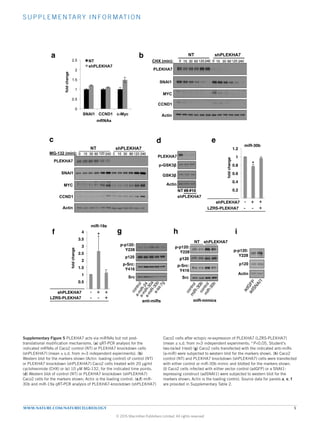 S UPP LE ME NTARY INFORMATION
WWW.NATURE.COM/NATURECELLBIOLOGY 5
0
0.5
1
1.5
2
2.5
3
3.5
4
NT shPLEKHA7 shPLEKHA7+LZRS-PLEKHA7
foldchange
miR-19a
0
0.2
0.4
0.6
0.8
1
1.2
NT shPLEKHA7 shPLEKHA7+LZRS-PLEKHA7
foldchange
miR-30b
0
0.5
1
1.5
2
2.5
SNAI1 CCND1 c-Myc
foldchange
mRNAs
NT
shPLEKHA7
PLEKHA7
SNAI1
MYC
CCND1
Actin
0 15 30 60 240120
NT shPLEKHA7
CHX (min):
MG-132 (min):
PLEKHA7
SNAI1
MYC
CCND1
Actin
PLEKHA7
GSK3β
Actin
p-GSK3β
NT
shPLEKHA7
#8#10
dc
a
g
0 15 30 60 240120
0 15 30 60 240120
NT shPLEKHA7
0 15 30 60 240120
b
Src
p120
Src
p120
p-p120:
Y228
p-Src:
Y416
p-p120:
Y228
p-Src:
Y416
anti-miRs miR-mimics
h
NT shPLEKHA7
LZRS-PLEKHA7
-
--
+
+
+
*
LZRS-PLEKHA7
shPLEKHA7 -
--
+
+
+
*f
e
p120
p-p120:
Y228
i
Actin
shPLEKHA7
Supplementary Figure 5Supplementary Figure 5 PLEKHA7 acts via miRNAs but not post-
translational modification mechanisms. (a) qRT-PCR analysis for the
indicated mRNAs of Caco2 control (NT) or PLEKHA7 knockdown cells
(shPLEKHA7) (mean ± s.d. from n=3 independent experiments). (b)
Western blot for the markers shown (Actin: loading control) of control (NT)
or PLEKHA7 knockdown (shPLEKHA7) Caco2 cells treated with 20 μg/ml
cycloheximide (CHX) or (c) 10 μM MG-132, for the indicated time points.
(d) Western blot of control (NT) or PLEKHA7 knockdown (shPLEKHA7)
Caco2 cells for the markers shown; Actin is the loading control. (e,f) miR-
30b and miR-19a qRT-PCR analysis of PLEKHA7-knockdown (shPLEKHA7)
Caco2 cells after ectopic re-expression of PLEKHA7 (LZRS-PLEKHA7)
(mean ± s.d. from n=3 independent experiments; *P0.05, Student’s
two-tailed t-test) (g) Caco2 cells transfected with the indicated anti-miRs
(a-miR) were subjected to western blot for the markers shown. (h) Caco2
control (NT) and PLEKHA7 knockdown (shPLEKHA7) cells were transfected
with either control or miR-30b mimic and blotted for the markers shown.
(i) Caco2 cells infected with either vector control (adGFP) or a SNAI1-
expressing construct (adSNAI1) were subjected to western blot for the
markers shown; Actin is the loading control. Source data for panels a, e, f
are provided in Supplementary Table 2.
© 2015 Macmillan Publishers Limited. All rights reserved
 