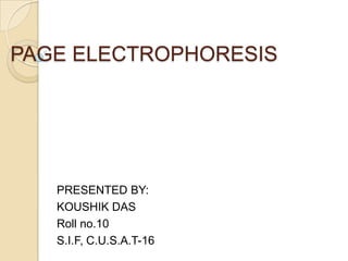 PAGE ELECTROPHORESIS




   PRESENTED BY:
   KOUSHIK DAS
   Roll no.10
   S.I.F, C.U.S.A.T-16
 