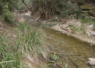 Koutsogiannopoulos rematia 22_10_20