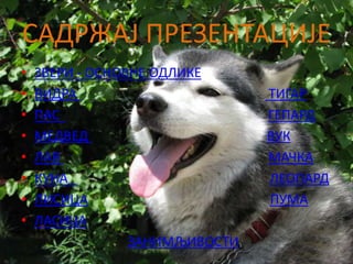 САДРЖАЈ ПРЕЗЕНТАЦИЈЕ
•   ЗВЕРИ - ОСНОВНЕ ОДЛИКЕ
•   ВИДРА                       ТИГАР
•   ПАС                         ГЕПАРД
•   МЕДВЕД                      ВУК
•   ЛАВ                         МАЧКА
•   КУНА                        ЛЕОПАРД
•   ЛИСИЦА                      ПУМА
•   ЛАСИЦА
                 ЗАНИМЉИВОСТИ
 