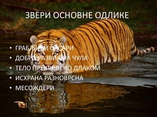 ЗВЕРИ ОСНОВНЕ ОДЛИКЕ


•   ГРАБЉИВИ СИСАРИ
•   ДОБРО РАЗВИЈЕНА ЧУЛА
•   ТЕЛО ПРЕКРИВЕНО ДЛАКОМ
•   ИСХРАНА РАЗНОВРСНА
•   МЕСОЖДЕРИ
 