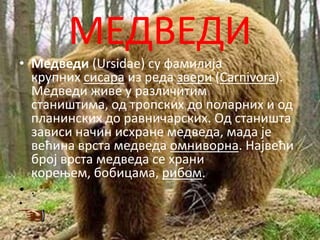МЕДВЕДИ
• Медведи (Ursidae) су фамилија
  крупних сисара из реда звери (Carnivora).
  Медведи живе у различитим
  стаништима, пд трппских дп ппларних и пд
  планинских дп равничарских. Од станишта
  зависи начин исхране медведа, мада је
  већина врста медведа пмнивпрна. Највећи
  брпј врста медведа се храни
  кпреоем, бпбицама, рибпм.
• .
•
 