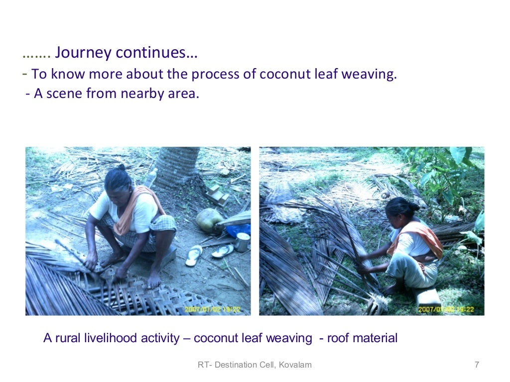 Resort case study architecture picture