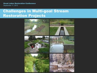 Great Lakes Restoration Conference
September 11, 2012


Challenges in Multi-goal Stream
Restoration Projects




                                     Peter Briggs
 