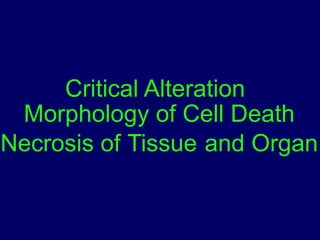 Critical Alteration
Morphology of Cell Death
Necrosis of Tissue and Organ
 