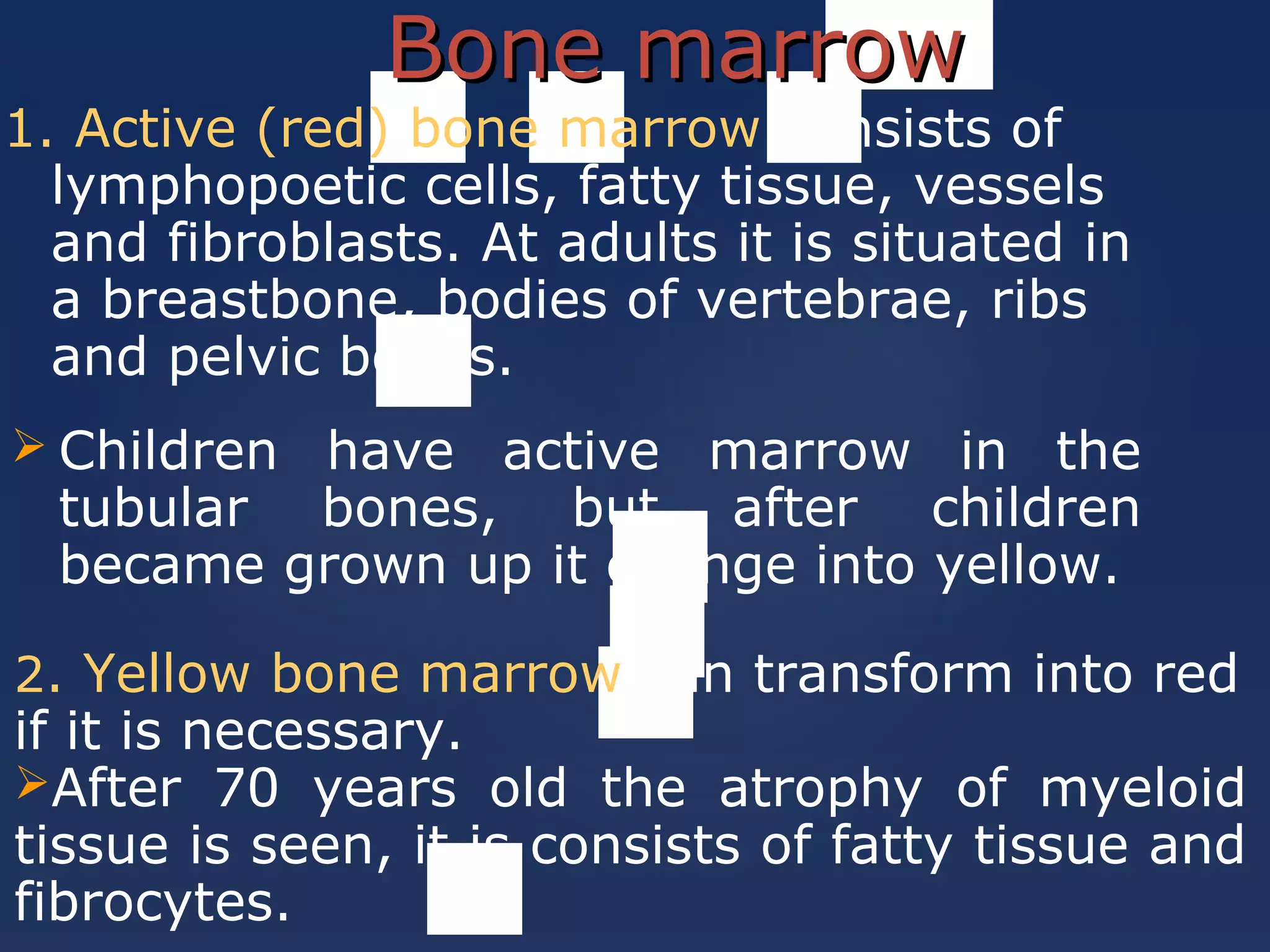 Bone marrowBone marrow
1. Active (red) bone marrow consists of
lymphopoetic cells, fatty tissue, vessels
and fibroblasts. At adults it is situated in
a breastbone, bodies of vertebrae, ribs
and pelvic bones.
2. Yellow bone marrow can transform into red
if it is necessary.
After 70 years old the atrophy of myeloid
tissue is seen, it is consists of fatty tissue and
fibrocytes.
 Children have active marrow in the
tubular bones, but after children
became grown up it change into yellow.
 