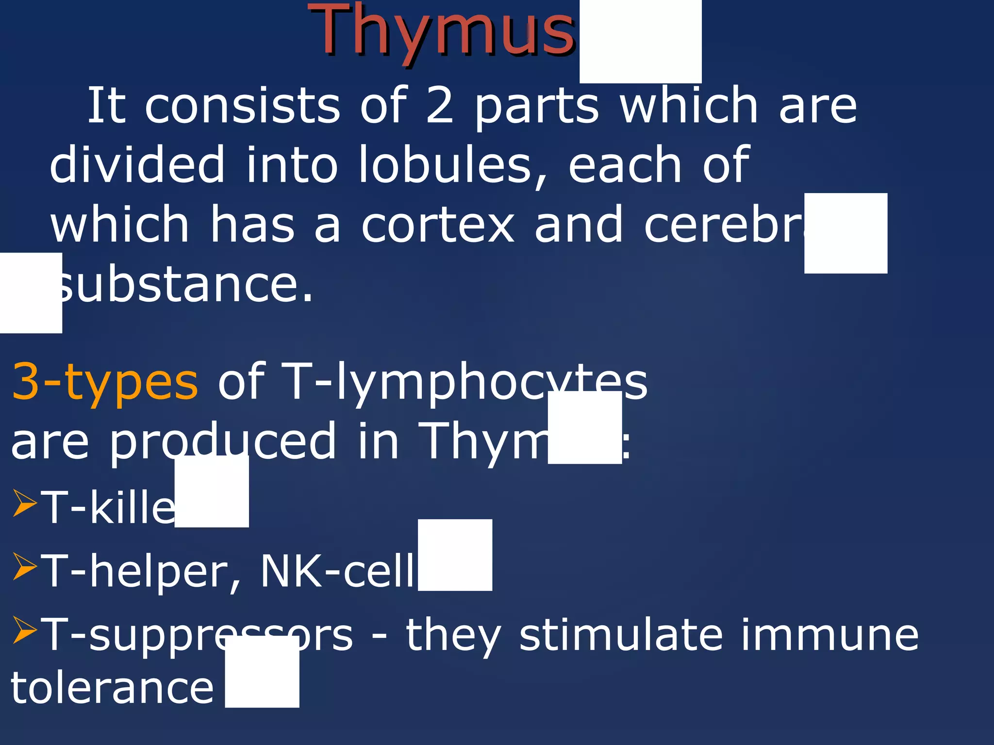 ThymusThymus
3-types of Т-lymphocytes
are produced in Thymus:
Т-killer
Т-helper, NK-cells
T-suppressors - they stimulate immune
tolerance
It consists of 2 parts which are
divided into lobules, each of
which has a cortex and cerebral
substance.
 