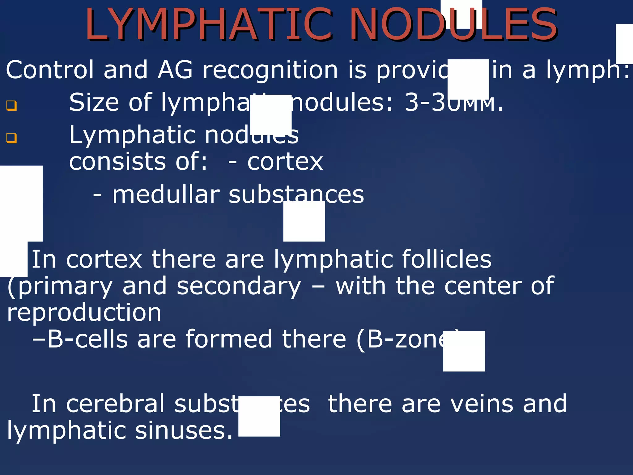 LYMPHATICLYMPHATIC NODULESNODULES
Control and AG recognition is provided in a lymph:
 Size of lymphatic nodules: 3-30мм.
 Lymphatic nodules
consists of: - cortex
- medullar substances
In cortex there are lymphatic follicles
(primary and secondary – with the center of
reproduction
–B-cells are formed there (B-zone)
In cerebral substances there are veins and
lymphatic sinuses.
 