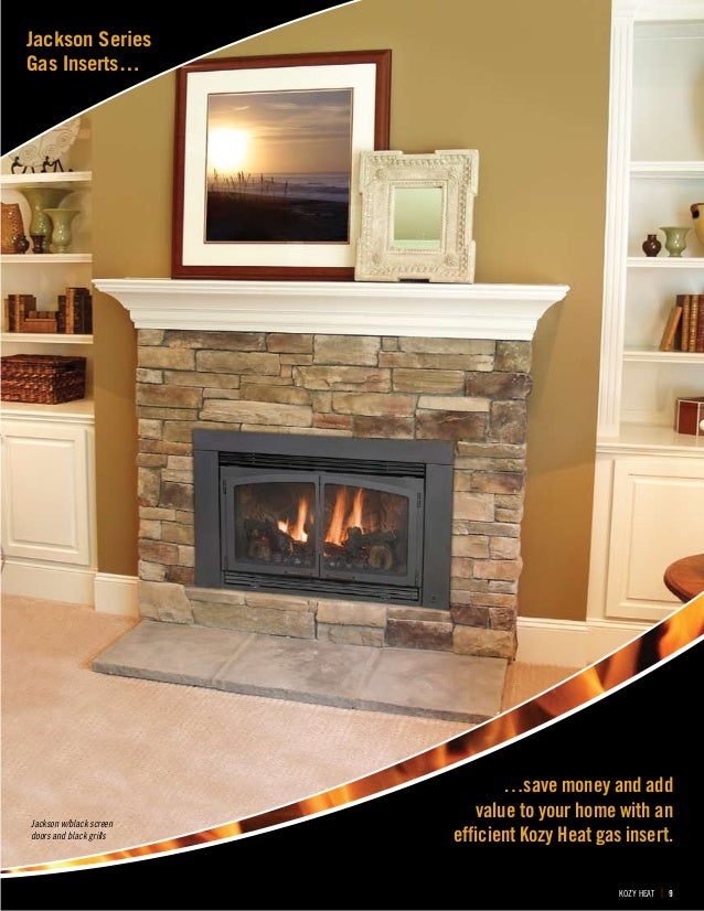 Kozy Heat Gas Inserts - Alpine Fireplaces Remember