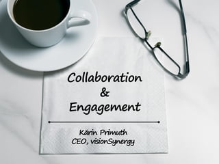 Collaboration
&
Engagement
Kärin Primuth
CEO, visionSynergy

 