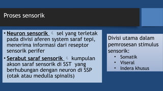 [KP 1.3.2.7] Fungsi Sistem Saraf Sensorik.pptx