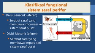 [KP 1.3.2.7] Fungsi Sistem Saraf Sensorik.pptx