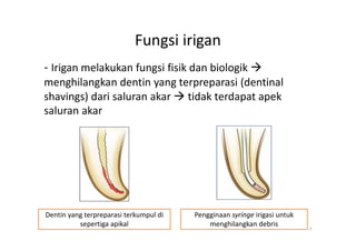 Comprehensive Guide to Endodontic Care: Irrigation, Intracanal ...