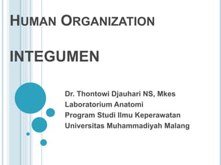 HUMAN ORGANIZATION
INTEGUMEN
Dr. Thontowi Djauhari NS, Mkes
Laboratorium Anatomi
Program Studi Ilmu Keperawatan
Universitas Muhammadiyah Malang
 