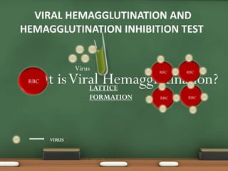 VIRAL HEMAGGLUTINATION AND
HEMAGGLUTINATION INHIBITION TEST
What isViral Hemagglutination?RBC
Virus RBC
LATTICE
FORMATION
VIRUS
RBC
RBC RBC
 