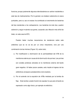 34
funciona, porque justamente algunas enterobacterias se vuelven resistentes a
este tipo de medicamentos. Por lo general, se emplean solamente en casos
puntuales, pero su uso en exceso ha contribuido al crecimiento de bacterias
del tipo resistentes a los carbapenems. Las bacterias de éste tipo, pueden
sobrevivir y seguir mutando sus genes, causando una infección más difícil de
tratar, en este caso la KPC.
Pueden haber muchas mecanismos de resistencia sobre este
antibiótico que se no se da por un único mecanismo, sino por una
combinación de las mismas (Figura 12), sobre todo:
a. Por modificación o disminución de la permeabilidad del ATB de la
membrana externa por causa de la disminución de porinas. Las porinas
son canales proteicas ubicadas en la membrana externa del bacilo
gram negativo. Al haber pocos canales, esto impide el ingreso de los
antibióticos al espacio periplasmático de la bacteria.
b. Por el aumento de la expulsión de ATBs mediada por la bomba de
flujo. Esta bomba cumple función de expulsar lo que para el bacilo es
expresado como algo tóxico, por ejemplo el antibiótico.
 