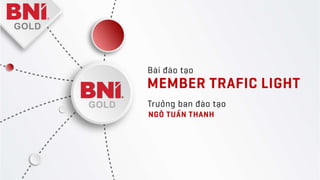 Hướng dẫn cách hiểu bảng Kpi - member trafic light trong BNI