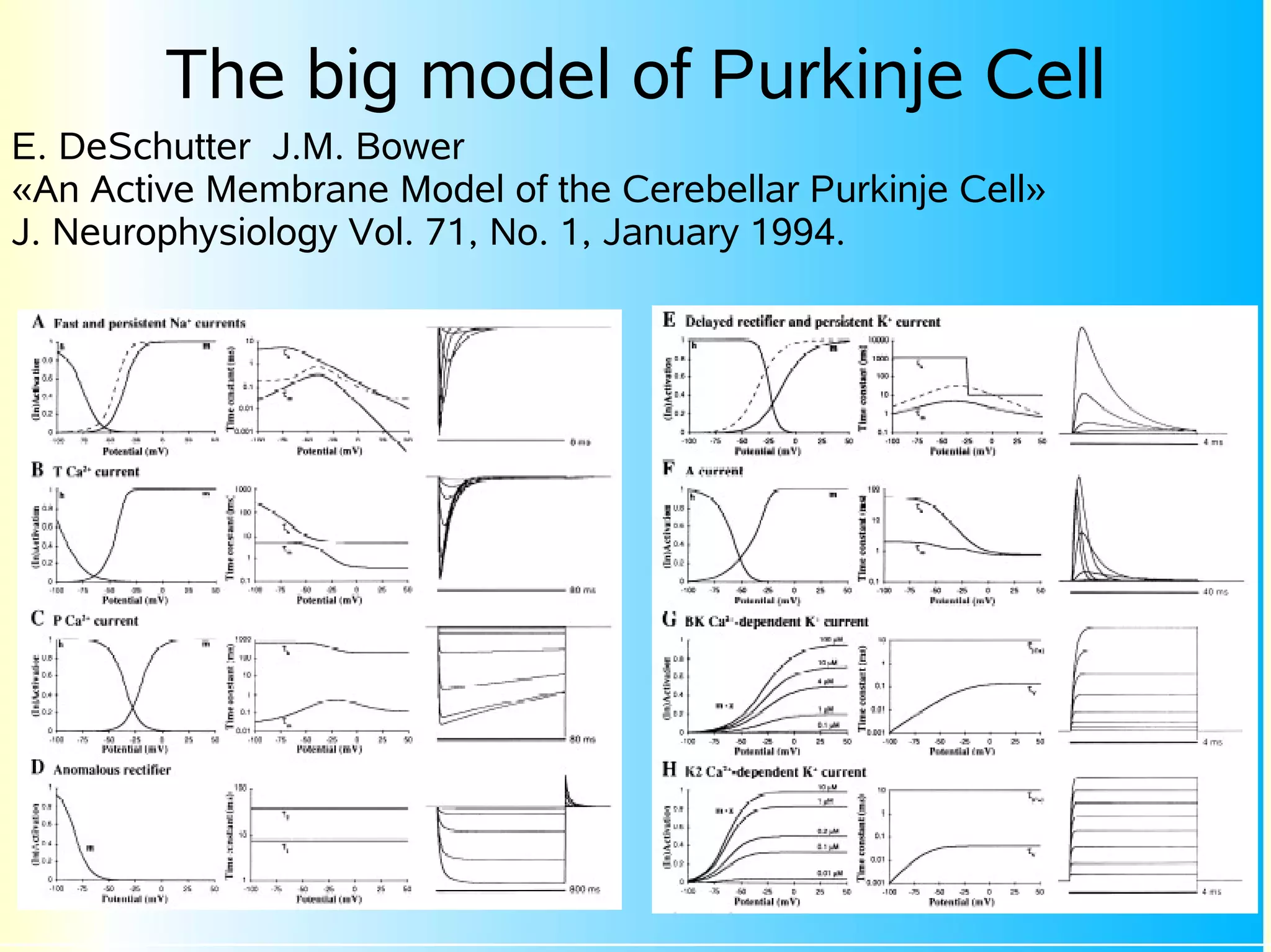 The big model of Purkinje Cell
E. DeSchutter J.M. Bower
«An Active Membrane Model of the Cerebellar Purkinje Cell»
J. Neurophysiology Vol. 71, No. 1, January 1994.
 