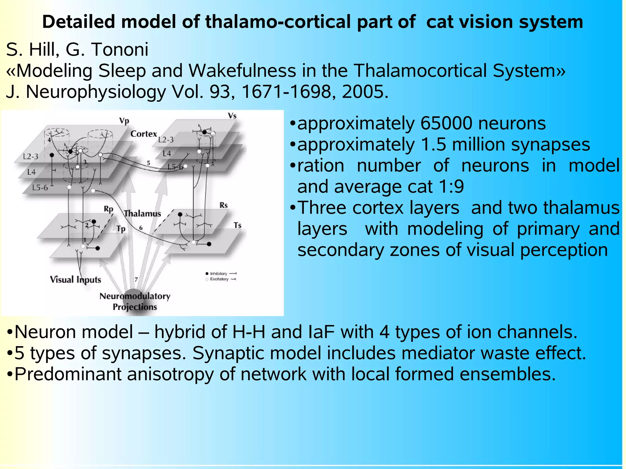 Detailed model of thalamo-cortical part of cat vision system
S. Hill, G. Tononi
«Modeling Sleep and Wakefulness in the Thalamocortical System»
J. Neurophysiology Vol. 93, 1671-1698, 2005.
                                 ● approximately 65000 neurons
                                 ● approximately 1.5 million synapses

                                 ● ration number of neurons in model

                                   and average cat 1:9
                                 ● Three cortex layers and two thalamus

                                   layers with modeling of primary and
                                   secondary zones of visual perception



● Neuron model – hybrid of H-H and IaF with 4 types of ion channels.
● 5 types of synapses. Synaptic model includes mediator waste effect.

● Predominant anisotropy of network with local formed ensembles.
 