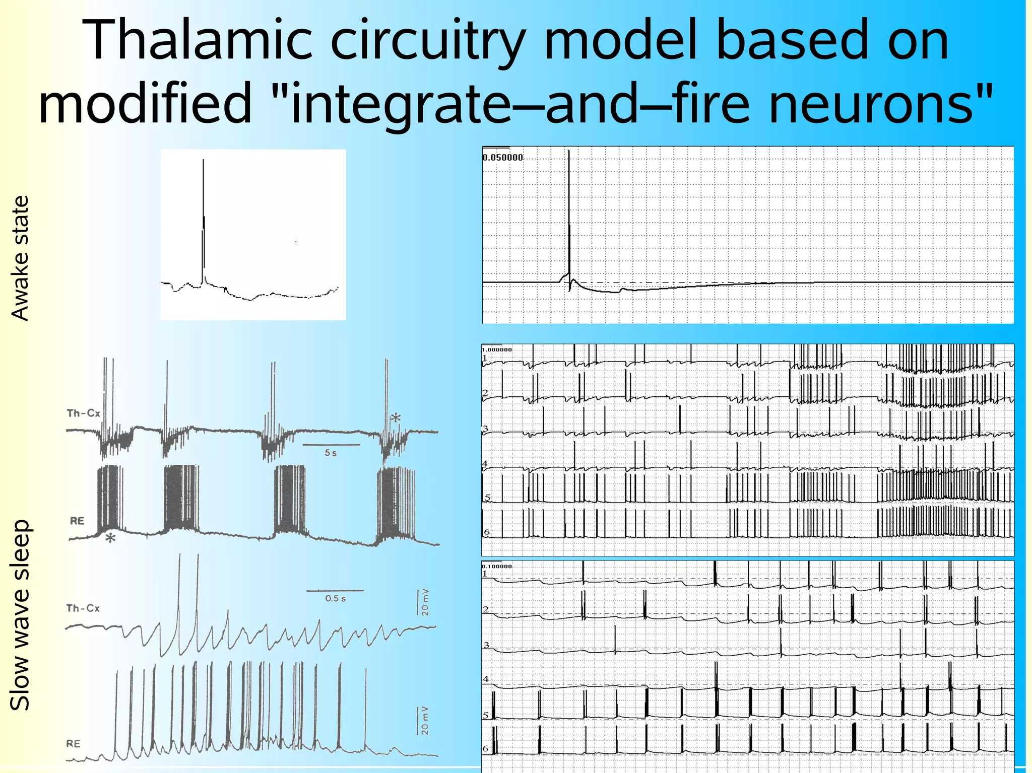 Thalamic circuitry model based on
                  modified "integrate–and–fire neurons"
Awake state
Slow wave sleep
 