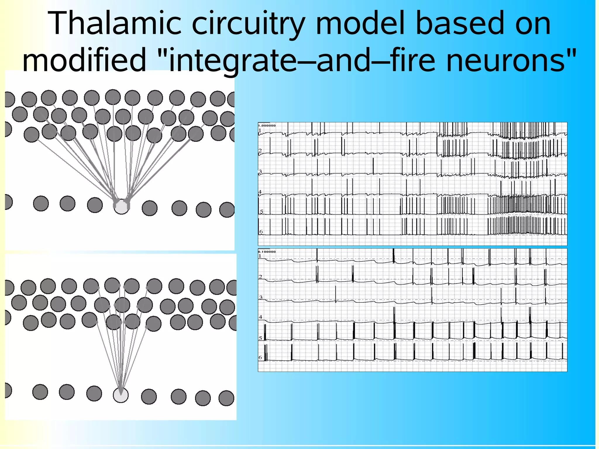 Thalamic circuitry model based on
modified "integrate–and–fire neurons"
 