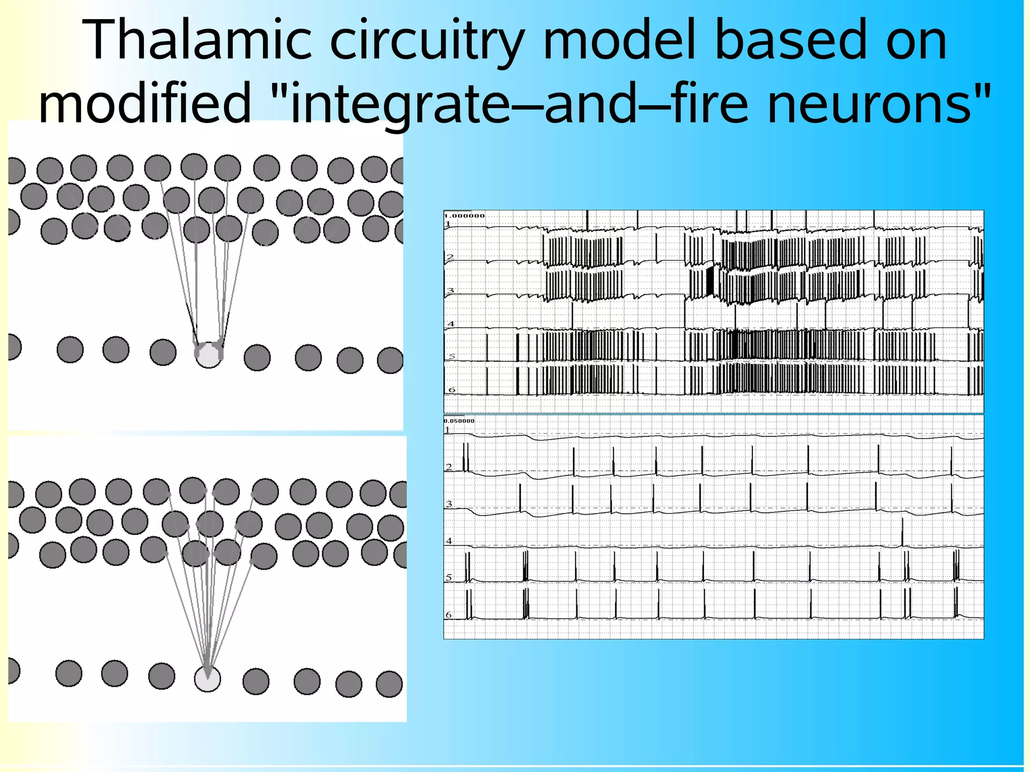 Thalamic circuitry model based on
modified "integrate–and–fire neurons"
 