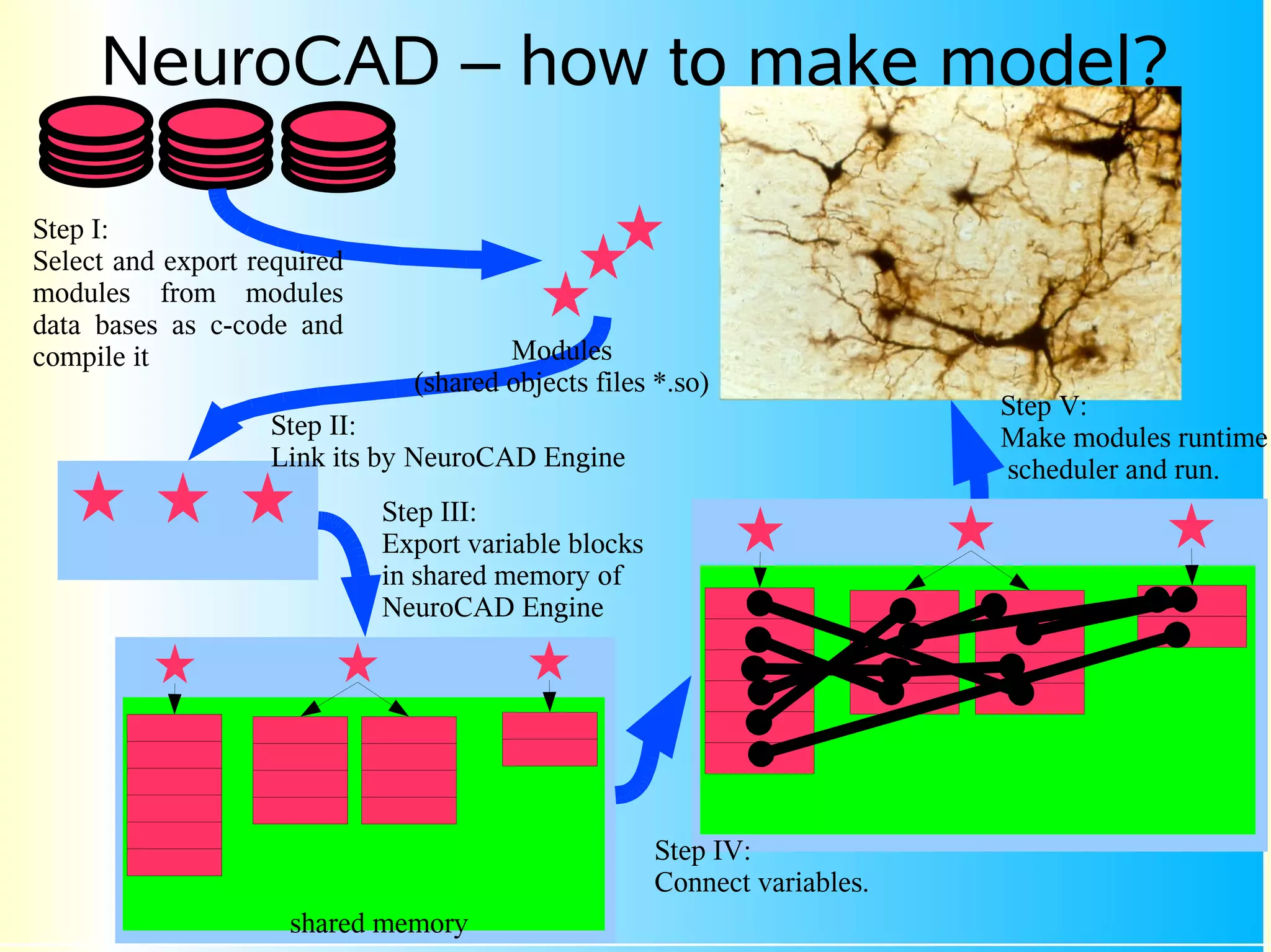 NeuroCAD – how to make model?

Step I:
Select and export required
modules from modules
data bases as c-code and
compile it                             Modules
                               (shared objects files *.so)
                                                                            Step V:
                   Step II:                                                 Make modules runtime
                   Link its by NeuroCAD Engine                              scheduler and run.
                             Step III:
                             Export variable blocks
                             in shared memory of
                             NeuroCAD Engine                          Step IV:
                                                                      Connect
                                                                      variables.

                                                      Step IV:
                                                      Connect variables.
                     shared memory
 