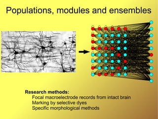 Introduction to modern methods and tools for biologically plausible ...
